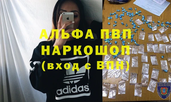 СК Абинск