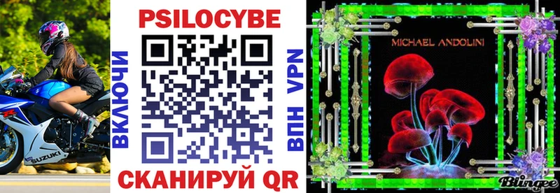 hydra зеркало Пудож Псилоцибиновые грибы мицелий